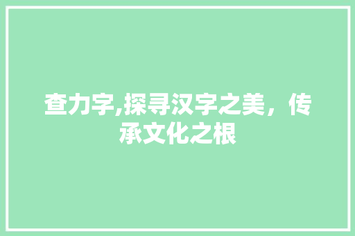 查力字,探寻汉字之美，传承文化之根