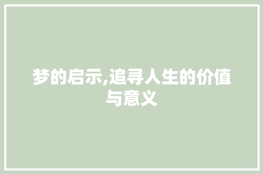 梦的启示,追寻人生的价值与意义