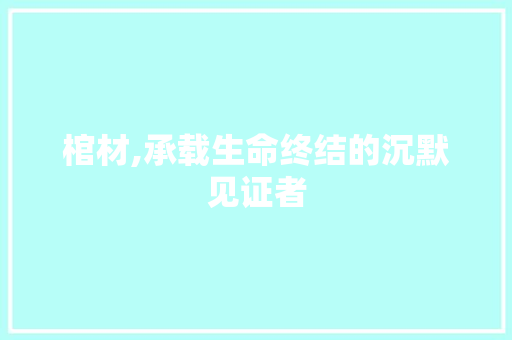 棺材,承载生命终结的沉默见证者