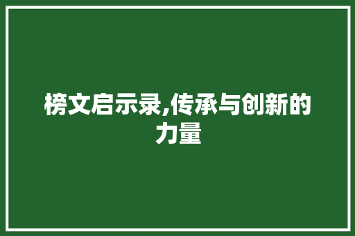 榜文启示录,传承与创新的力量