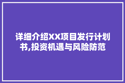 详细介绍XX项目发行计划书,投资机遇与风险防范