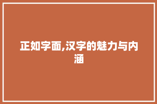 正如字面,汉字的魅力与内涵