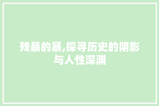 残暴的暴,探寻历史的阴影与人性深渊