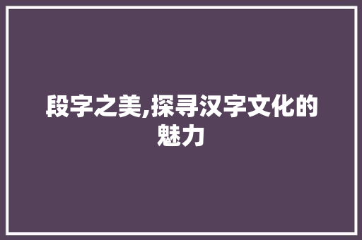 段字之美,探寻汉字文化的魅力