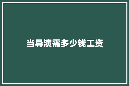 当导演需多少钱工资