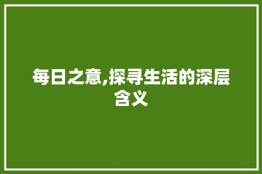 每日之意,探寻生活的深层含义