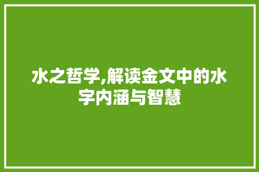 水之哲学,解读金文中的水字内涵与智慧