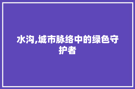 水沟,城市脉络中的绿色守护者