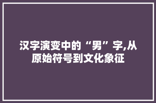 汉字演变中的“男”字,从原始符号到文化象征