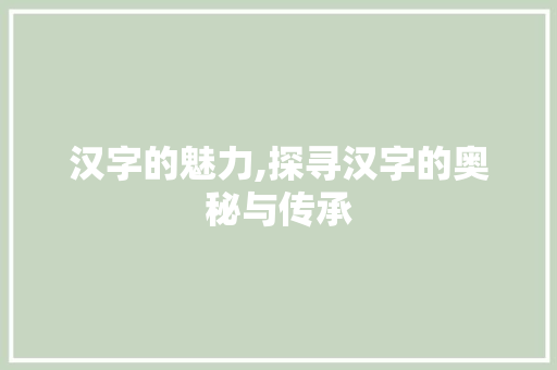 汉字的魅力,探寻汉字的奥秘与传承