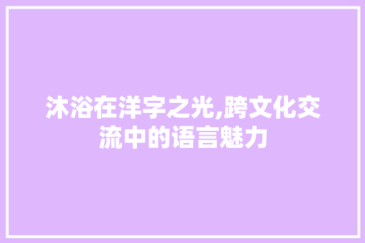 沐浴在洋字之光,跨文化交流中的语言魅力