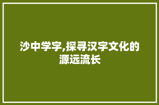 沙中学字,探寻汉字文化的源远流长
