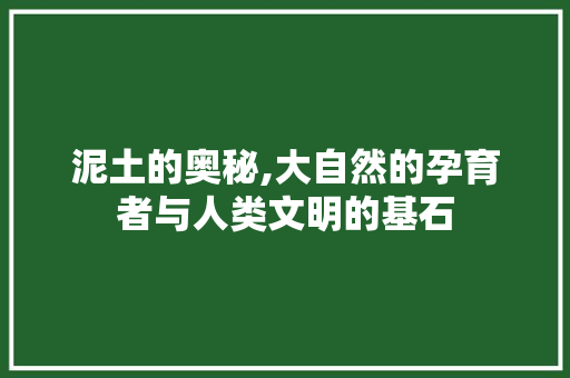 泥土的奥秘,大自然的孕育者与人类文明的基石