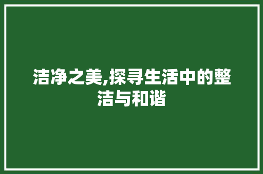 洁净之美,探寻生活中的整洁与和谐