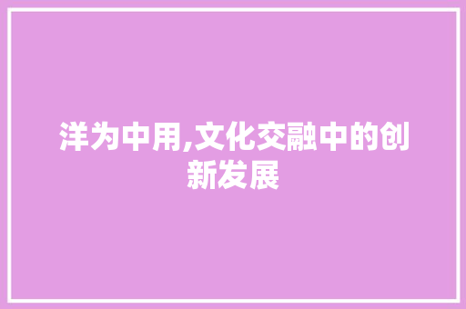 洋为中用,文化交融中的创新发展
