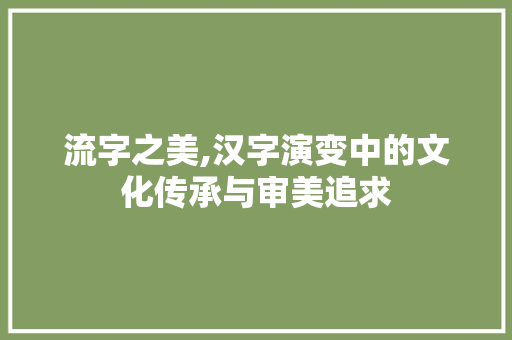 流字之美,汉字演变中的文化传承与审美追求