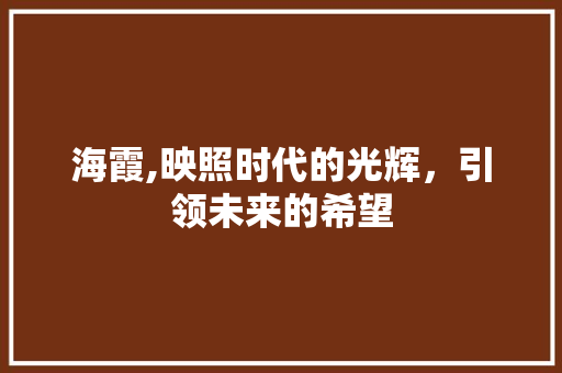 海霞,映照时代的光辉，引领未来的希望