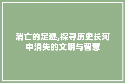 消亡的足迹,探寻历史长河中消失的文明与智慧