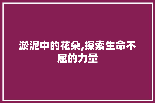 淤泥中的花朵,探索生命不屈的力量