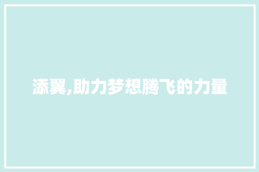 添翼,助力梦想腾飞的力量