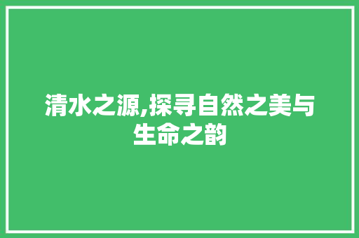 清水之源,探寻自然之美与生命之韵