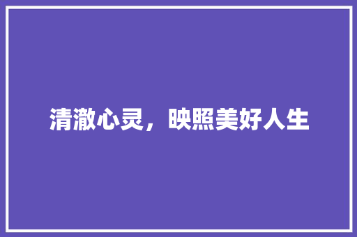 清澈心灵，映照美好人生