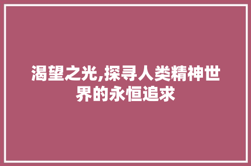 渴望之光,探寻人类精神世界的永恒追求