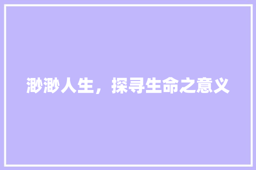 渺渺人生，探寻生命之意义