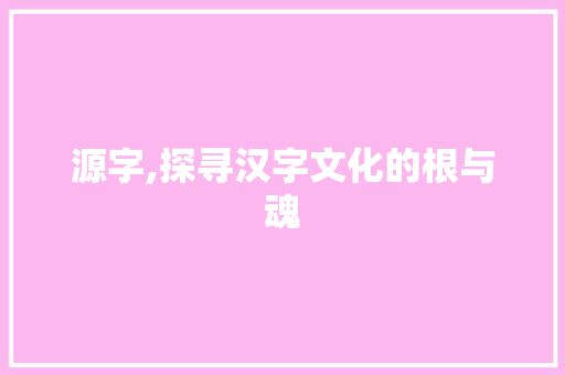 源字,探寻汉字文化的根与魂