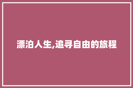 漂泊人生,追寻自由的旅程