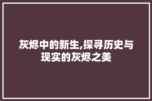 灰烬中的新生,探寻历史与现实的灰烬之美