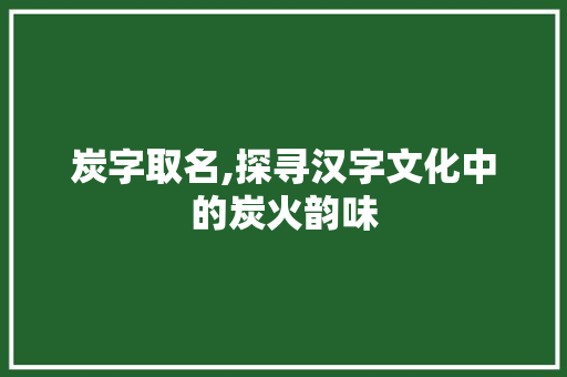 炭字取名,探寻汉字文化中的炭火韵味