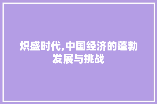 炽盛时代,中国经济的蓬勃发展与挑战