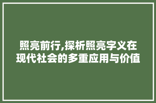 照亮前行,探析照亮字义在现代社会的多重应用与价值