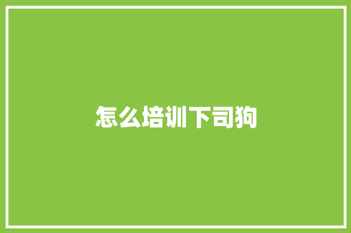怎么培训下司狗