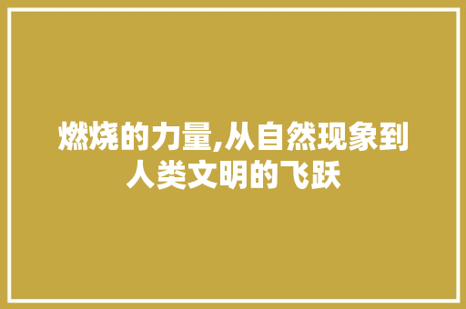 燃烧的力量,从自然现象到人类文明的飞跃