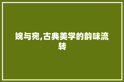 婉与宛,古典美学的韵味流转