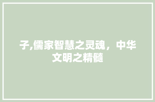 子,儒家智慧之灵魂，中华文明之精髓