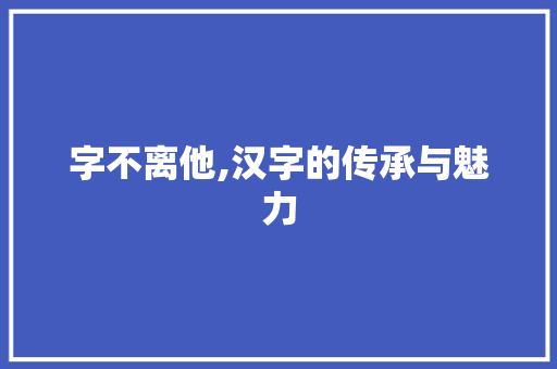 字不离他,汉字的传承与魅力