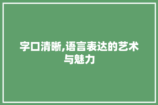 字口清晰,语言表达的艺术与魅力