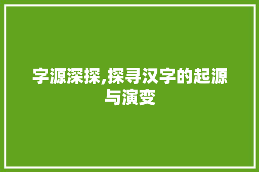 字源深探,探寻汉字的起源与演变