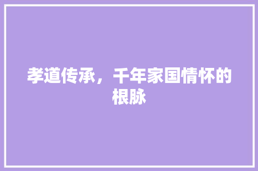 孝道传承，千年家国情怀的根脉