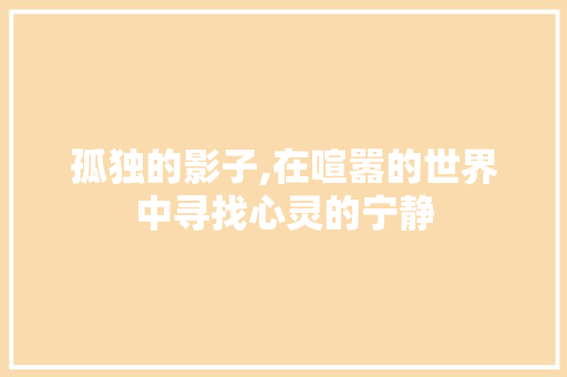 孤独的影子,在喧嚣的世界中寻找心灵的宁静