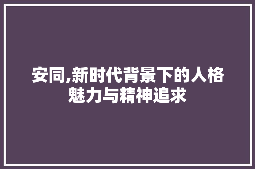 安同,新时代背景下的人格魅力与精神追求