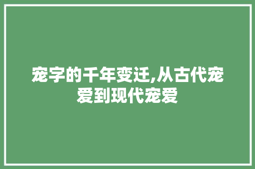 宠字的千年变迁,从古代宠爱到现代宠爱
