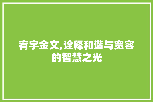 宥字金文,诠释和谐与宽容的智慧之光