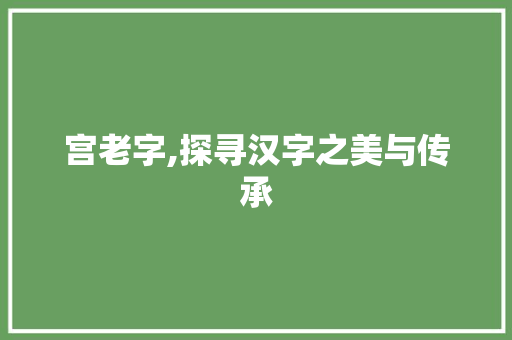 宫老字,探寻汉字之美与传承