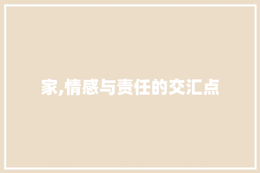 家,情感与责任的交汇点