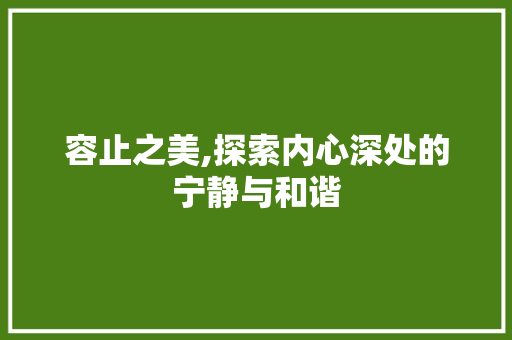 容止之美,探索内心深处的宁静与和谐