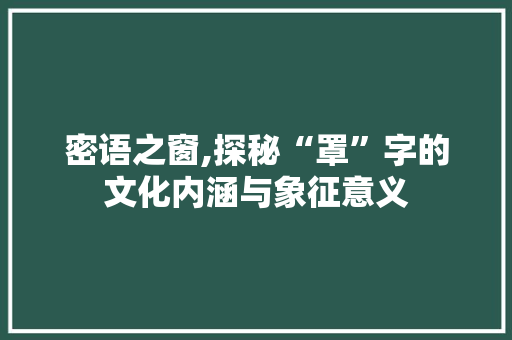 密语之窗,探秘“罩”字的文化内涵与象征意义
